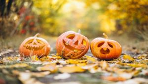 Halloween Decor Trends – 2021 Trending Halloween Ideas