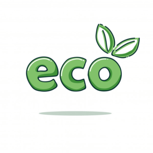 10 Eco-Friendly