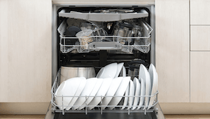 Read more about the article How to Keep Your Dishwasher Healthy
