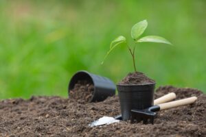 Read more about the article Prepare Your Soil For Planting