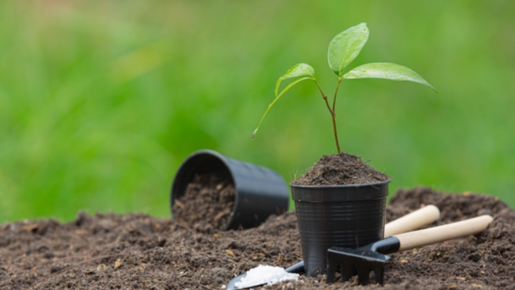 Untitled 1920 x 1080 px 23 - DomiDocs