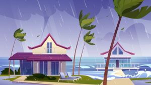 Read more about the article The DomiDocs Guide to Digitally Prep Your Home for Natural Disasters