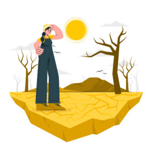 Read more about the article The DomiDocs Guide to Drought Preparedness