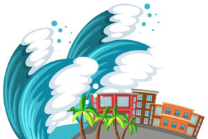 Read more about the article The DomiDocs Guide to Tsunami Preparedness