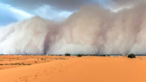 Read more about the article The DomiDocs Guide to Dust and Sand Storm Preparedness