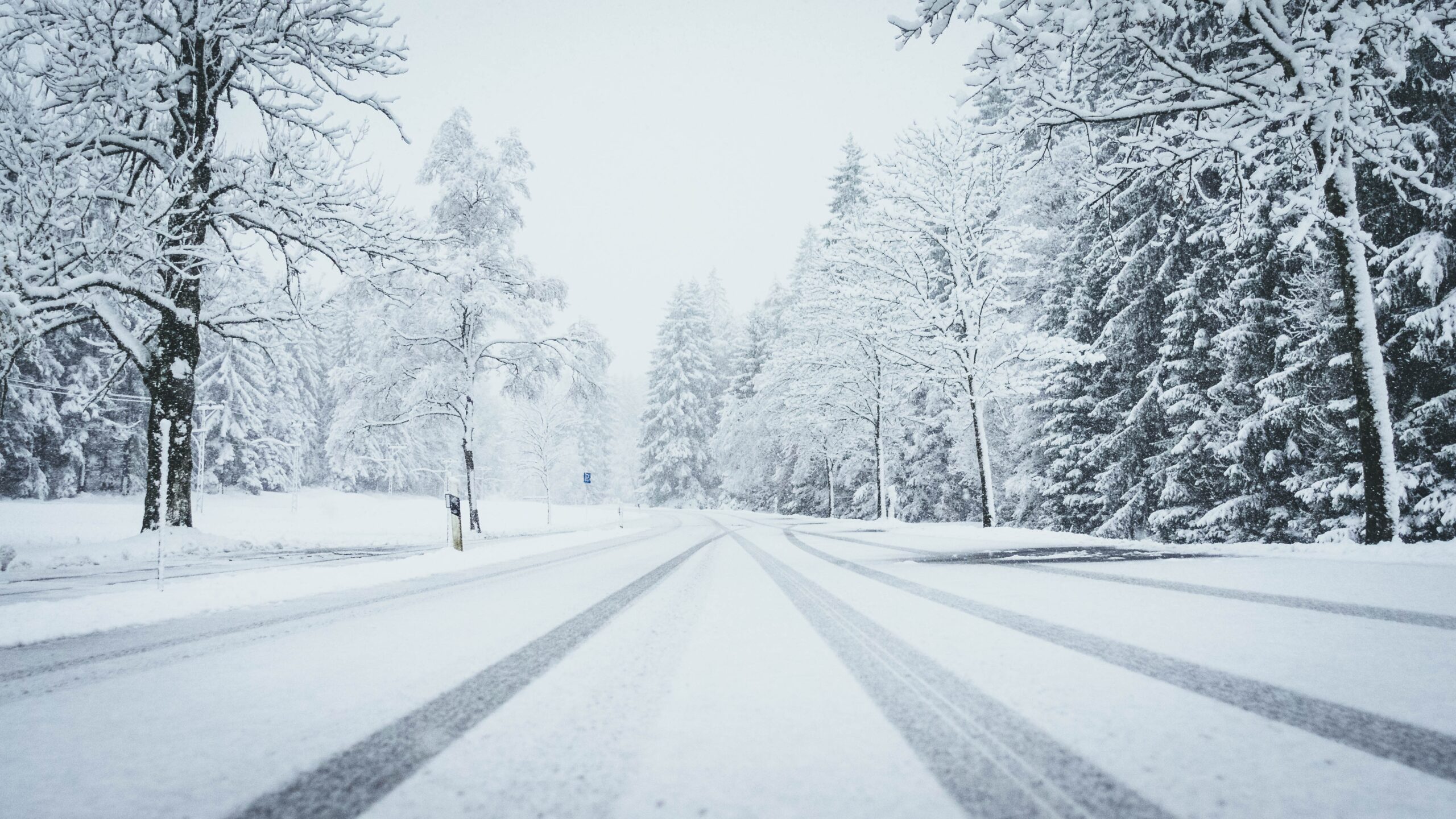 wide shot road fully covered by snow with pine trees both sides car traces scaled - DomiDocs